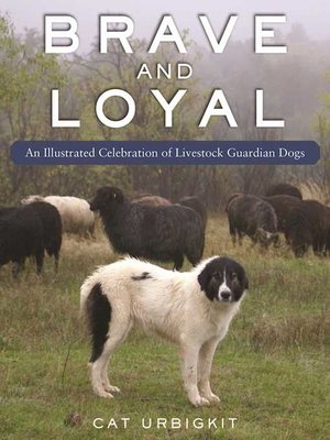 cover image of Brave and Loyal: an Illustrated Celebration of Livestock Guardian Dogs